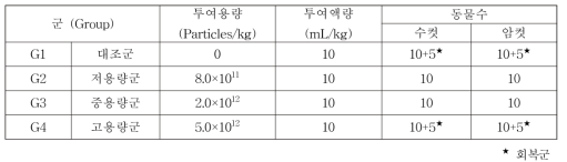 반복투여 일반독성시험 (BNS) 그룹>