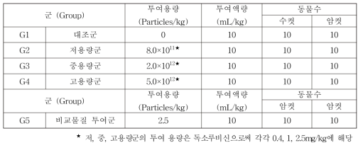 반복투여 일반독성시험 (BNS-DOX) 그룹>