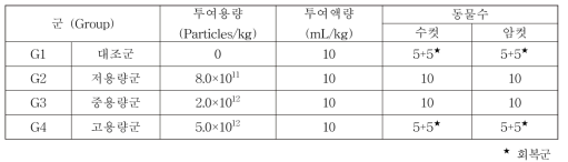 반복투여 기타면역독성시험 (BNS) 그룹>