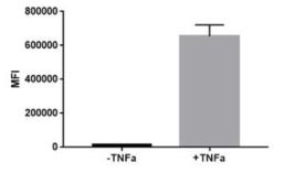 ICAM-1 expression level of HUVEC>