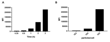 Uptake of NK-CDVs into HUVECs in a dose- and time-dependent manner>