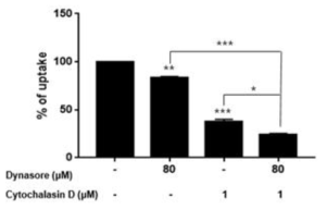 Combined treatment with two different inhibitors>