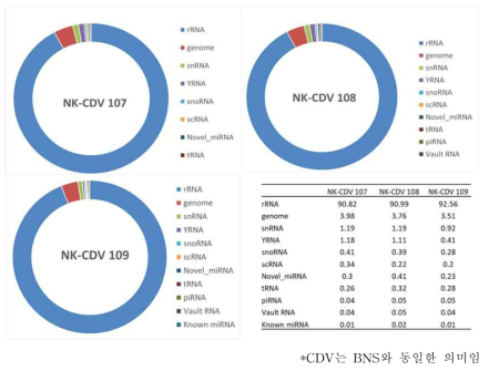 NK-BNS 시료 별 주요 핵산 (small RNA) 비율>