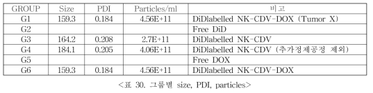 . 또한, 표 30과 같이 G3 그룹의 투여된 particle 수가 다른