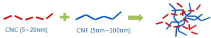 셀룰로오스 나노파이버/셀룰로오스 나노크리스탈 혼합 용액 예상도