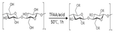 Synthesis of cellulose esters