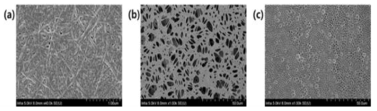 CNF (Chuetsu BBC) (a)와 발레르 산 (b)과 헥사 노산 (c)에 의해 변형 된 CNF의 SEM 이미지 (50 ℃, 1 시간)