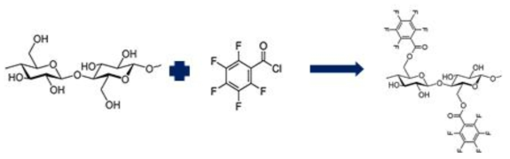 Pentafluorobenzoyl chloride를 이용한 셀룰로오스 나노결정의 표면 개질