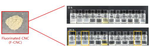 물, 에탄올, 메탄올 아세톤, 톨루엔, DMF, NMP, 클로로포름, n- 헥산, 자일 렌, DMSO, THF에서 0.05 wt % F-CNC의 사진