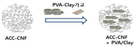 ACC-CNF / PVA-Clay가교 system