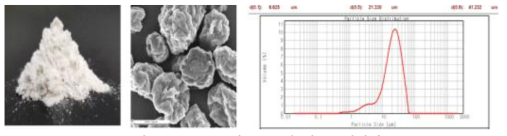 CNF 분말 SEM 및 입도분석결과