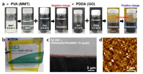 a) PVA(MMT), PDDA(GO) 제조, [PVA(MMT)/PDDA(GO) 10 dyads와 SA CNF 100P를 코팅한 필름 (b) 사진, (c) 단면 SEM 이미지, (d) 표면 AFM 이미지