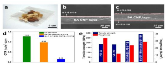 a) SA CNF로만 제작된 free-standing packaging film, (b) 한쪽 면, (c) 양면에 불소계 유기물을 코팅한 단면 SEM 이미지, (d) 산소 투과도 (e) 기계적 특성