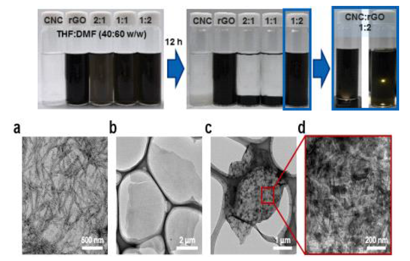 THF/DMF 나노필러의 분산안정성 (a) CNC (b) rGO (c)(d) rGO+CNC