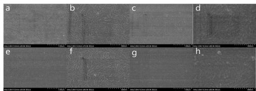 CNF_MMT_CNC, CNC 코팅 필름의 SEM a-b : 가교 CNF_MMT_CNC, c-d : 비가 교 CNF_MMT_CNC, e-f : 가교 CNC, g-h : 비가 교 CNC 코팅 필름