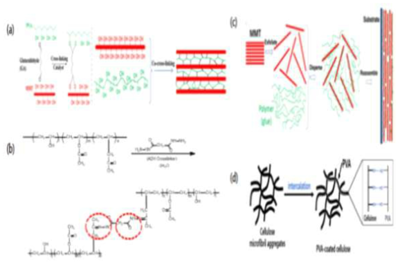 (a) GA 가교 구조 (b) ADH 가교 구조 (c) 판상 Clay (d) PVA/CNF간의 intercalation