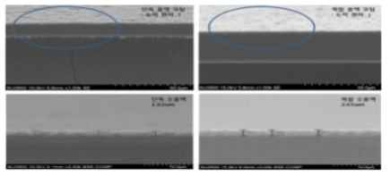 코팅 필름의 도막 morpology 및 도막 두께 FE-SEM 사진