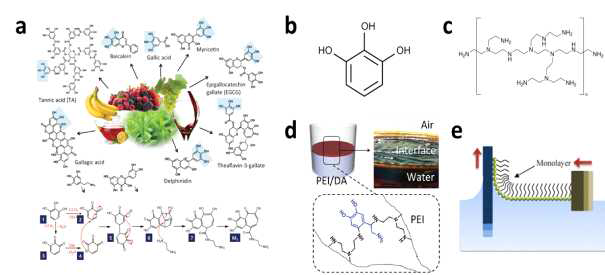 (a) Catecholamine 반응의 예시, (b) pyrogallol의 화학 구조, (c) PEI의 화학 구조, (d) Water-air 계면에서의 가교 반응, (e) Langmuir-Blodgett 코팅