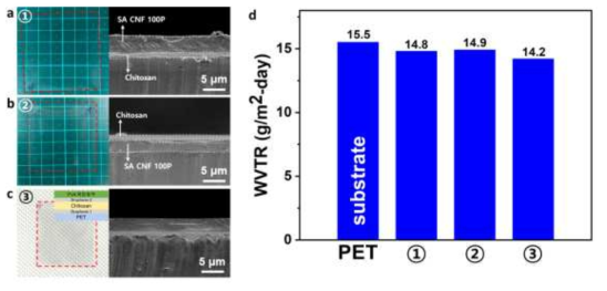 (a) chitosan/SA CNF 100P, (b) SA CNF 100P/chitosan, (c) graphene/chitosan/graphene/SA CNF 100P 코팅 필름의 사진(left) 및 단면 SEM 이미지(right)와 (d) WVTR 결과