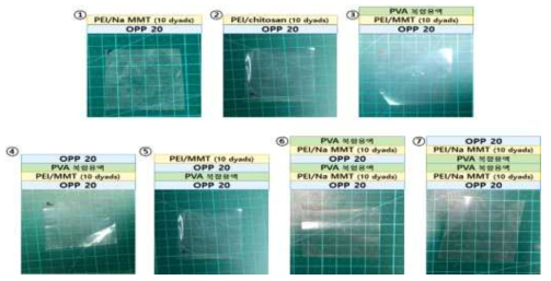 PEI/MMT와 코팅용액을 적용한 다양한 코팅 방식