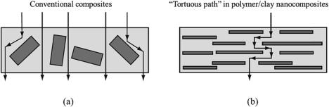 고분자/클레이 나노복합체의 “Tortuous diffusion path” 개념도 : (a) 고분자/일반입자 나노복합체, (b) 고분자/판상형 클레이 나노복합체