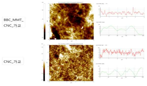 가교 처리된 CNC_MMT_CNF 복합필름과 CNC 단일 코팅 필름의 AFM 이미지