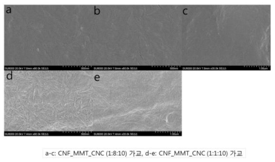 가교 처리된 CNC-MMT-CNF 복합필름 SEM 이미지