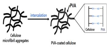 CNF-PVA 가교 system