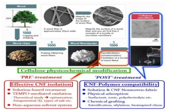 i) 셀룰로오스 펄프 원소재 해섬 (전처리) 과 ii) CNF의 화학적 개질 (후처리)