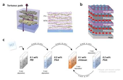 (a) MMT, (b) GO, MMT의 2D nano material을 이용한 산소/수분 차단 특성 부여, (c) chitosan을 이용한 산소 차단 특성의 필름 제작 과정