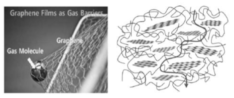 기체 차단성 재료로서 그래핀 기체 투과 경로