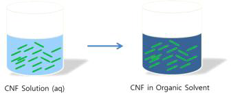 CNF 수용액 용매치환