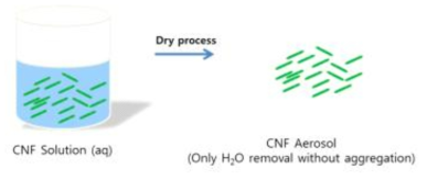 CNF 동결건조를 통한 Aerosel 제조