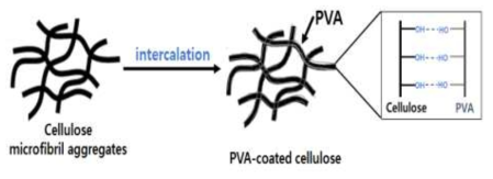 셀룰로오스 나노파이버와 수계 고분자 상호작용 개념도