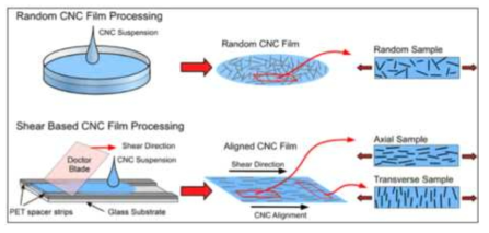 코팅 방법에 따른 CNF의 배향 변화 (J-FOR. 2012)