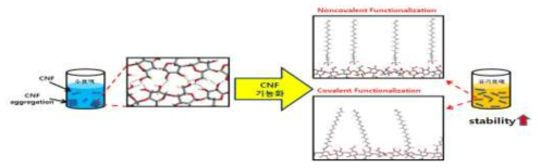 나노셀룰로오스 기능화를 통한 분산안정성을 보여주는 모식도