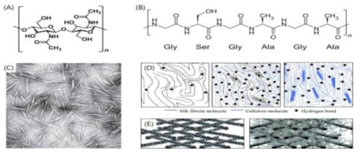 (a) chitin의 분자 구조, (b)silk fibroin의 분자 구조, (c)셀룰로스/키틴 나노휘스커, (d)CNF-silk 복합화를 통한 수소결합 극대화, (e)나노휘스커, silk fibroin 등과의 복합화를 통한 CNF 간의 공극 감소 개념