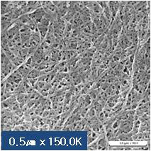 SEM image (전처리 후 ACC 20Pass)