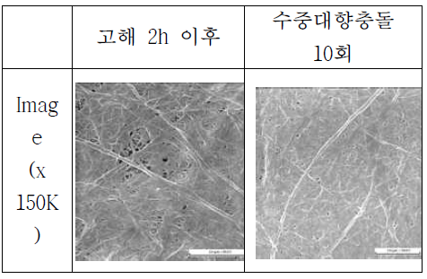 물리적 처리 나노 셀룰로오스 섬유