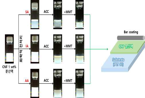 SA, IA, AA에 의한 CNF의 전처리 및 코팅 과정