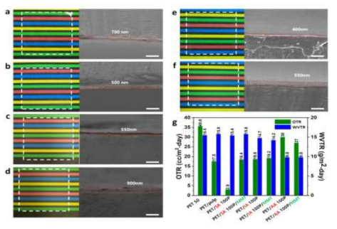 (a) PET/SA CNF 100P, (b) PET/SA CNF 100P/MMT, (c) PET/IA CNF 100P, (d) PET/IA CNF 100P/MMT, (e) PET/AA CNF 100P, (f) PET/AA CNF 100P/MMT의 digital photograph 이미지(left), 단면 SEM 이미지(right), (g) 각 필름의 OTR, WVTR 결과