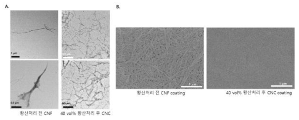 황산 처리 전,후의 CNF 분석 (A,TEM 이미지, B. SEM 이미지)