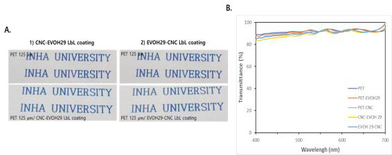 CNC - EVOH 29 이중 코팅의 투명성 분석 (A. 필름의 투명성 분석, B. UV-vis를 통한 필름의 투명성 분석)