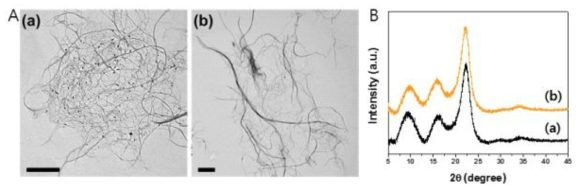 A. CNF의 TEM image. B. CNF의 XRD spectrum ((a). CNF, (b). acetylated CNF). (scale bar, 2 ㎛)