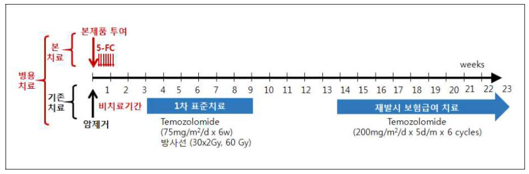 본 제품의 테모졸로마이드(TMZ)와의 병용요법