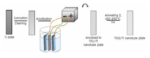 TiO2 nanotube fabrication process