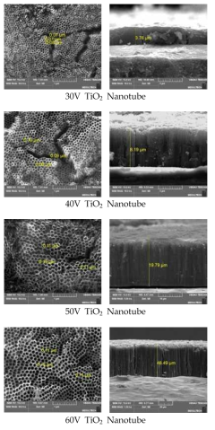 Surface and cross-section SEM image of a Ti plate anodized for 15 hours at different anodization voltages 30V, 40V, 50 V, and 60 V