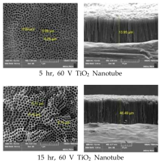 Surface and cross-section of SEM images of a Ti plate anodized at 60 V for different anodization times