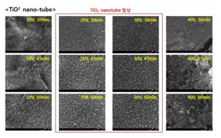 TiO2 nanotube 형성 SEM 사진