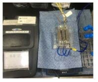 Laboratory electrolysis batch system